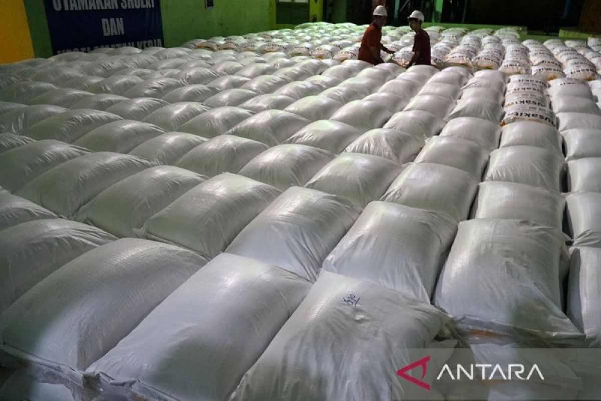 Dokumentasi laporan insiden terjadi tubuh - Redaksi